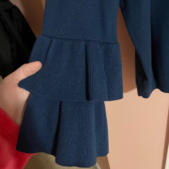Ann Taylor Ruffle Sleeve Sweater - Picture 4 of 4
